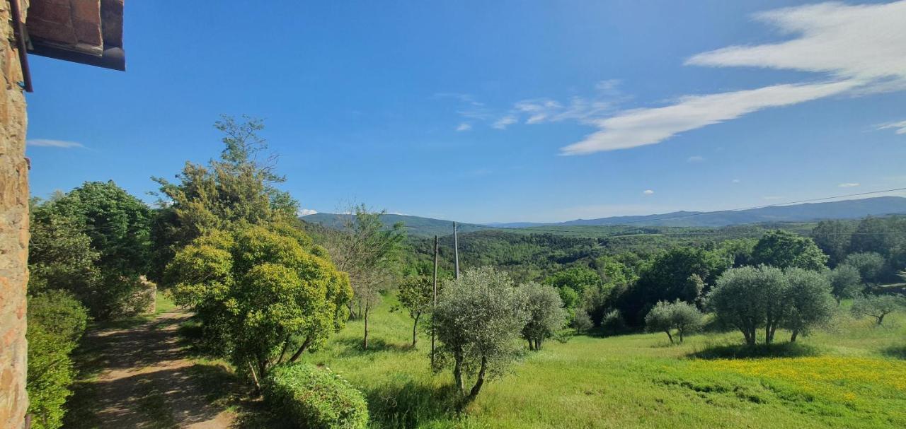 Villa Resi Bed & Nature Murlo Εξωτερικό φωτογραφία